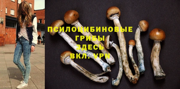 крисы Лиски
