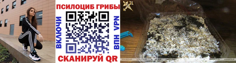 Псилоцибиновые грибы Magic Shrooms  Купить где  Красногорск 